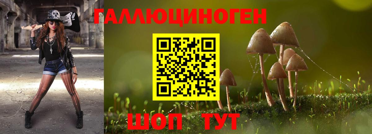 Тихвин  Галлюциногенные грибы Magic Shrooms  Вход с VPN 