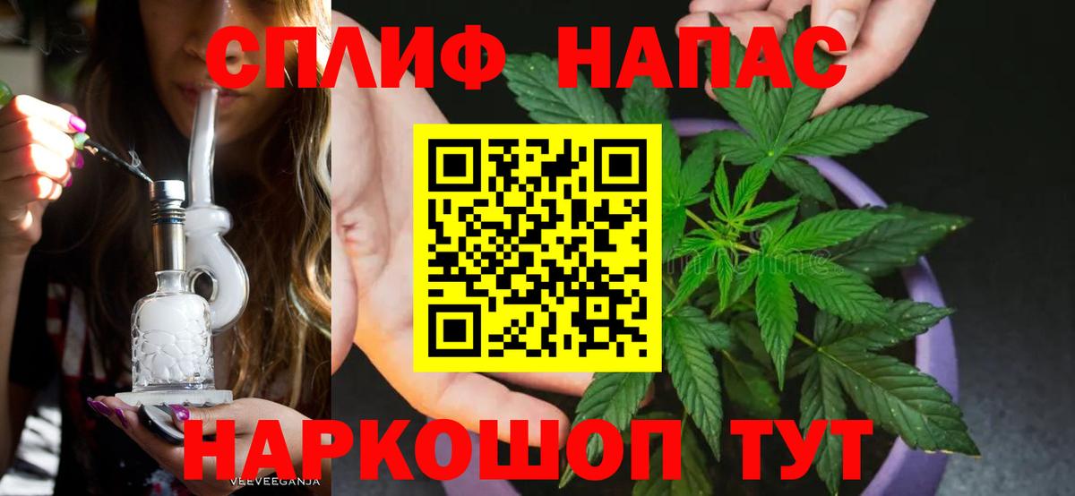 Конопля SATIVA & INDICA Тихвин